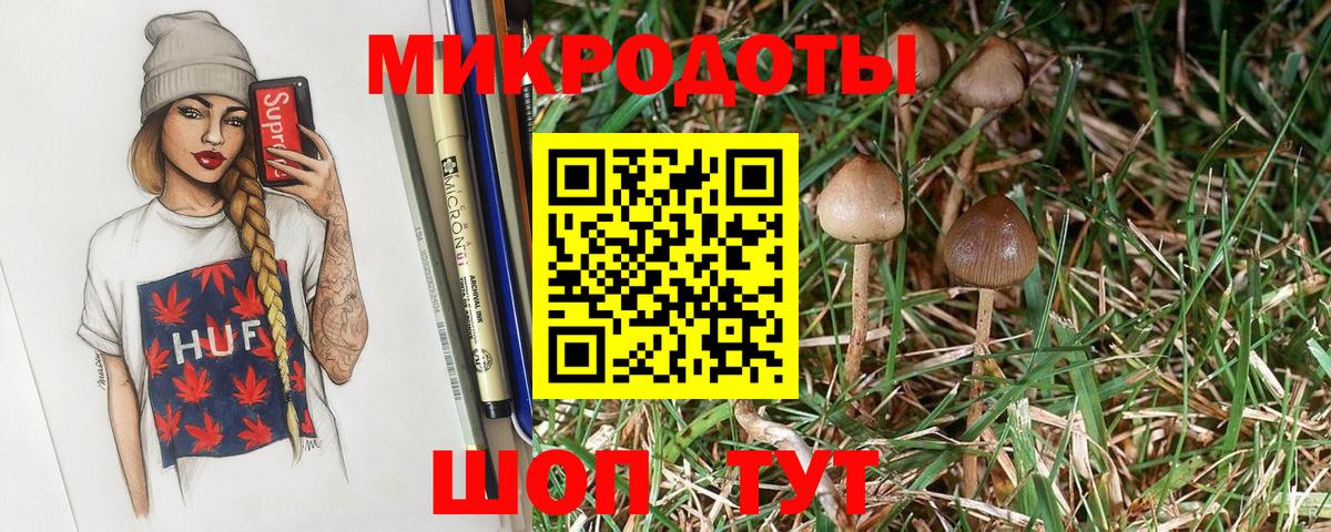 Псилоцибиновые грибы мицелий Екатеринбург