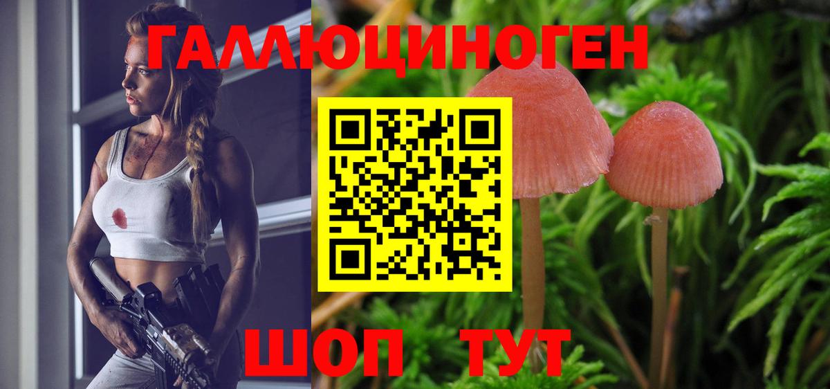 Галлюциногенные грибы Psilocybe  Вход с VPN  Екатеринбург 